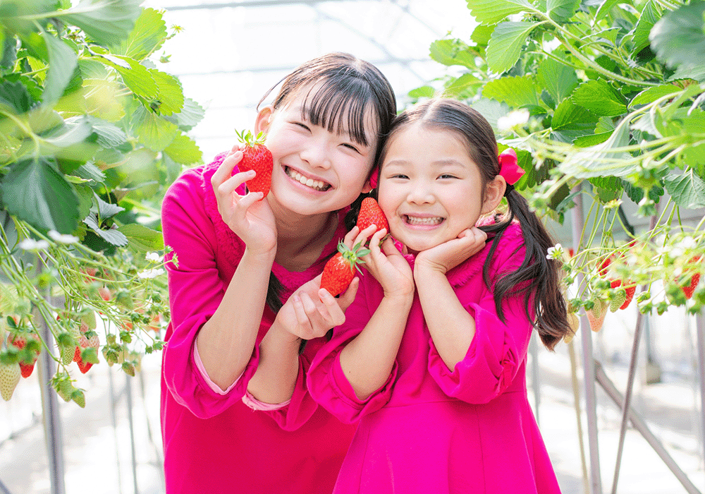 子どもニコニコ笑顔育の日に考える子どものガミースマイルについて
